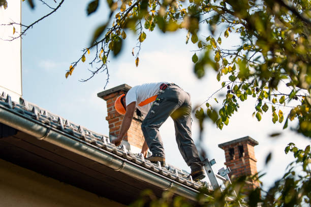 Best Steel Roofing  in Higginsville, MO