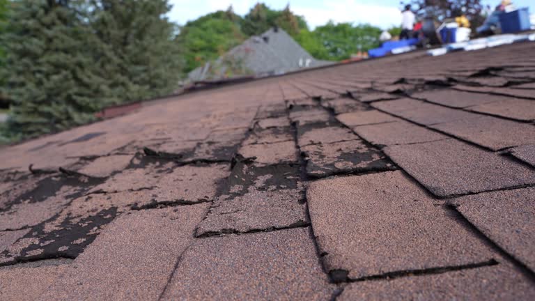 Best Roof Maintenance and Cleaning  in Higginsville, MO