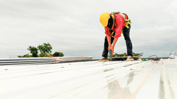 Best Gutter Replacement  in Higginsville, MO