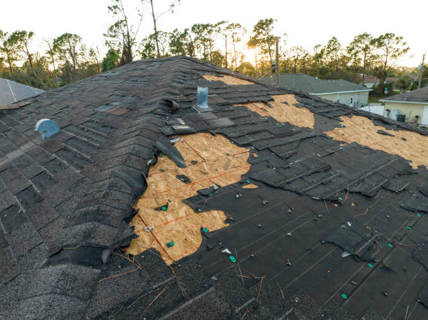 Best Roof Coating and Sealing  in Higginsville, MO