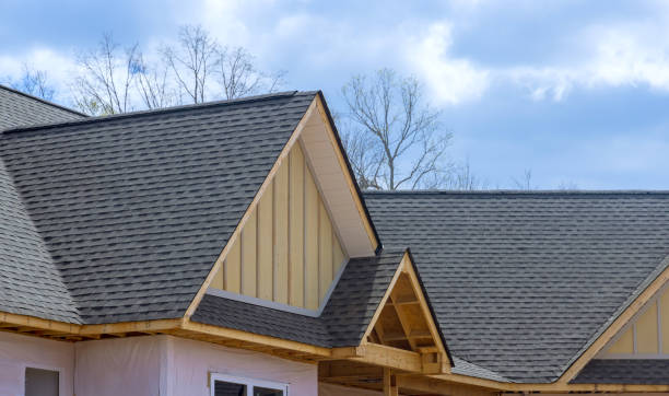 Best Roof Coating Services  in Higginsville, MO