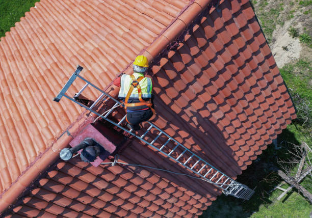 Best Solar Panel Roofing Installation  in Higginsville, MO