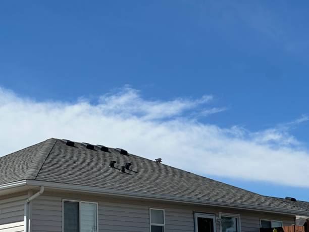 Best Sheet Metal Roofing  in Higginsville, MO